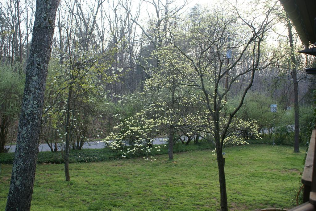 Ebenezer House Bed & Breakfast Burtonsville 외부 사진