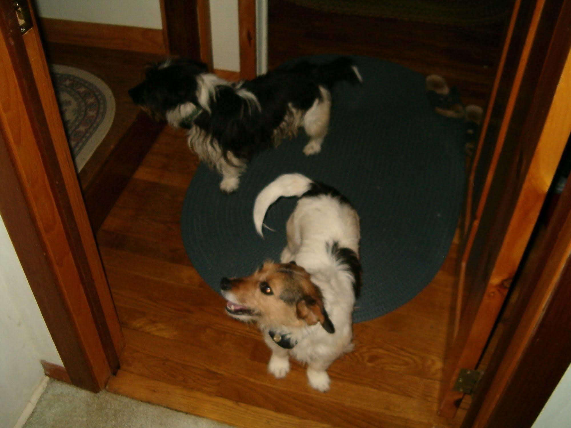 Ebenezer House Bed & Breakfast Burtonsville 외부 사진